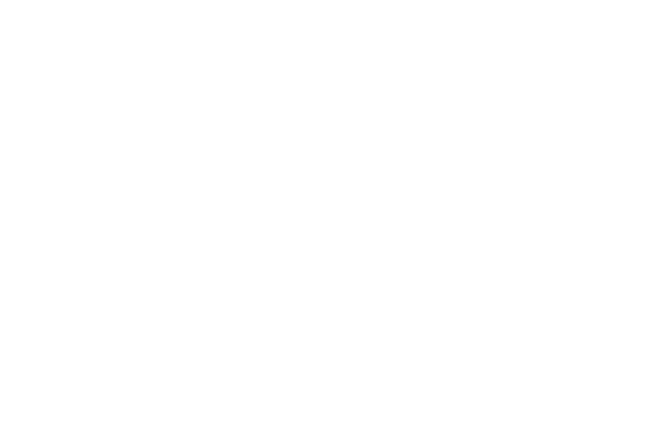 Mięsne Fakty